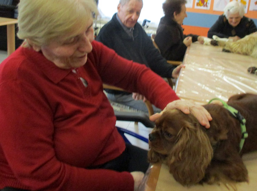 Buoni risultati con la Pet Therapy 